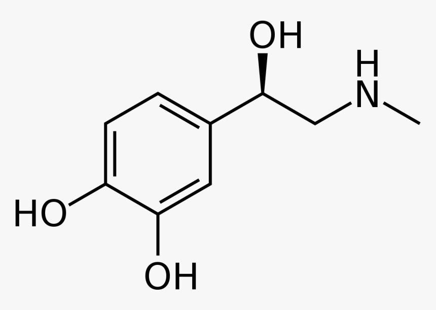Adrenaline Chemical Structure - R Salbutamol, HD Png Download