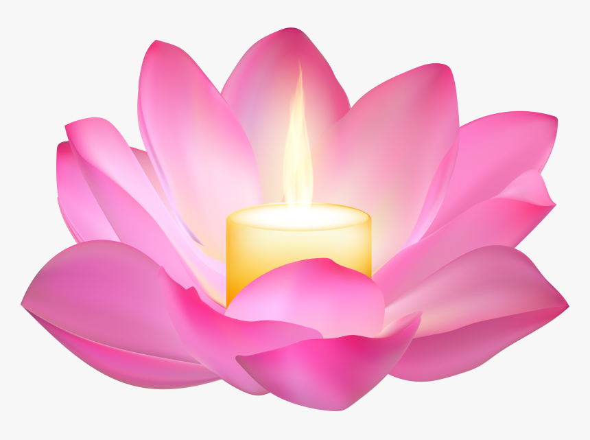 Lotus Flower Png - Portable Network Graphics, Transparent Png