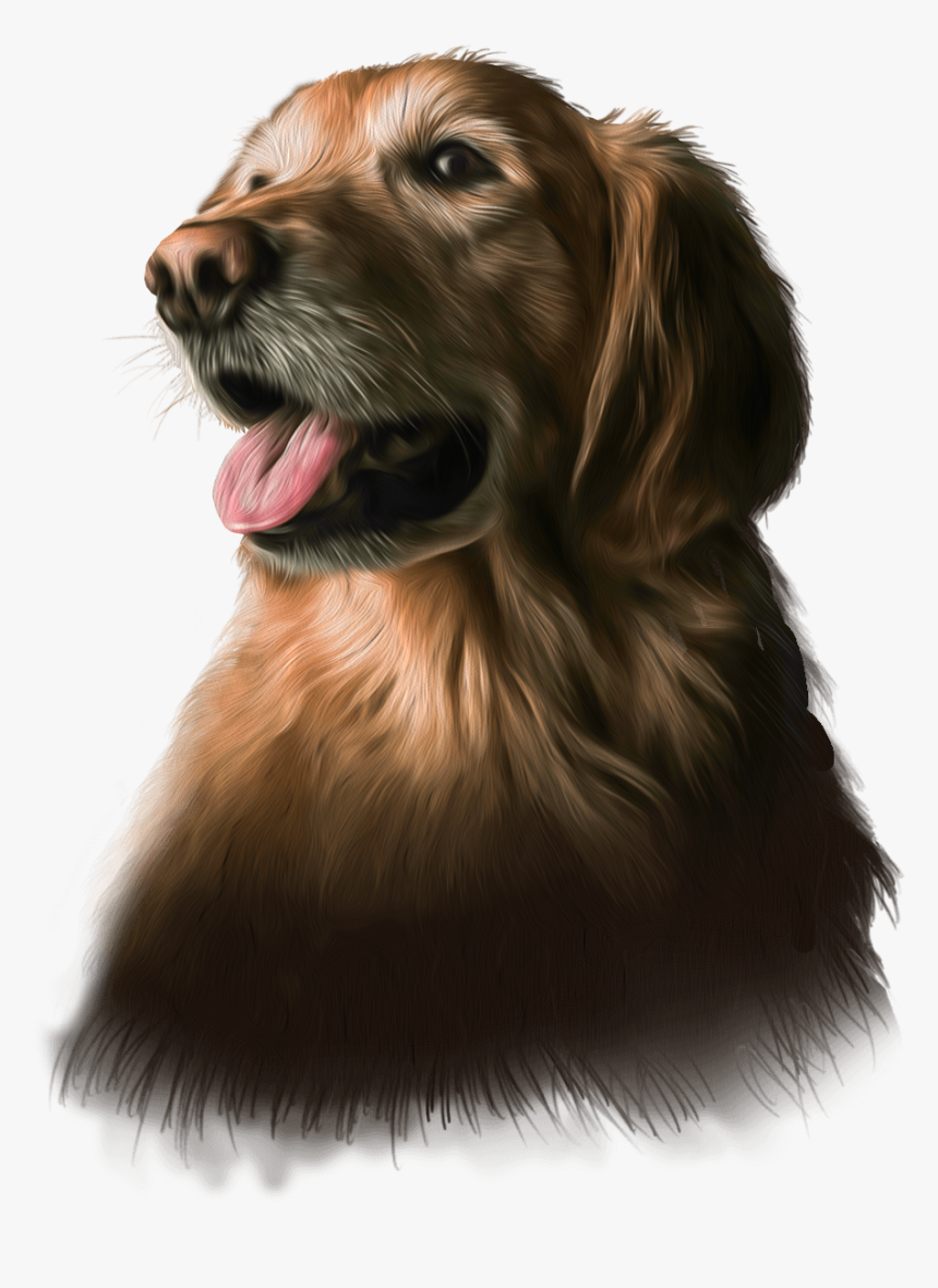 Pet Store, HD Png Download
