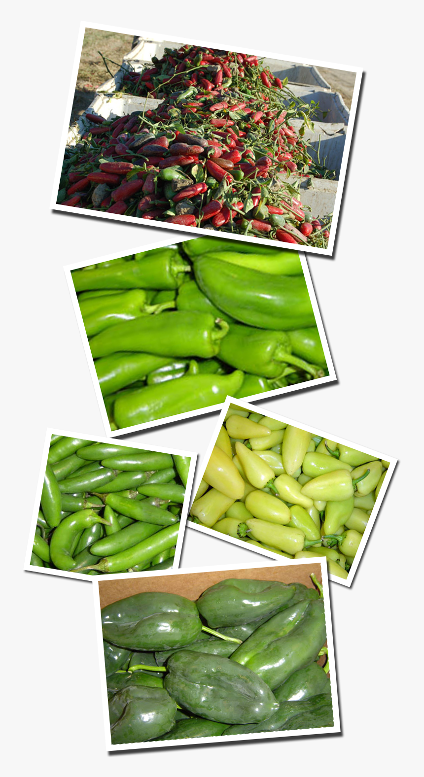 Productsides-peppers - Snap Pea, HD Png Download