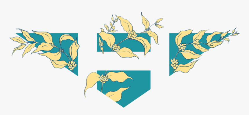 Floral Color - Illustration, HD Png Download