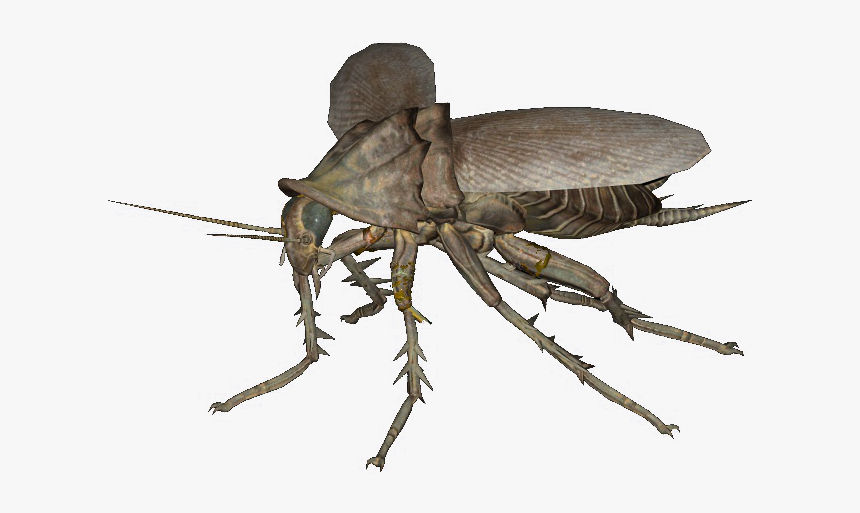 Fo4radroachnifskope - Fallout 4 Radroach, HD Png Download