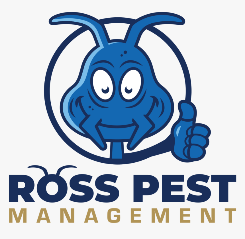 Roaches Png, Transparent Png