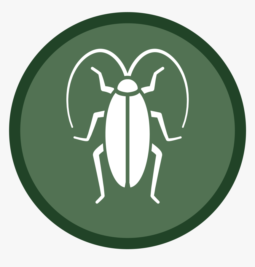 Cockroach Icon-02 - Sims 4 Mosquito Stuff Pack, HD Png Download