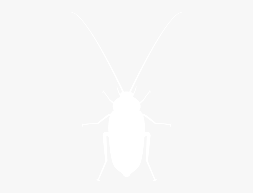 Roaches-white - High Resolution Suits Png, Transparent Png