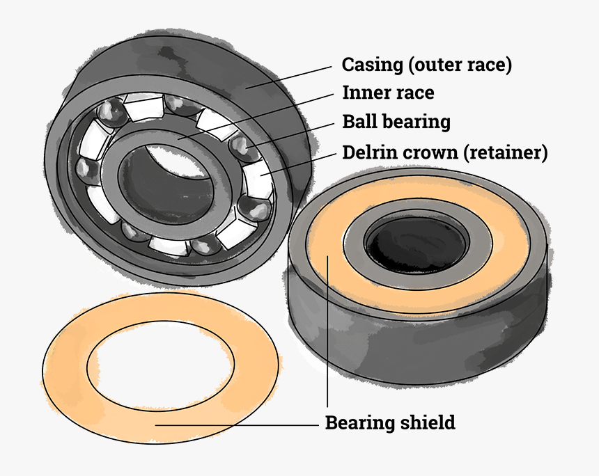 Image Displays Parts Of A Skateboard Bearing, Consisting Opportunities For Learning, HD Png