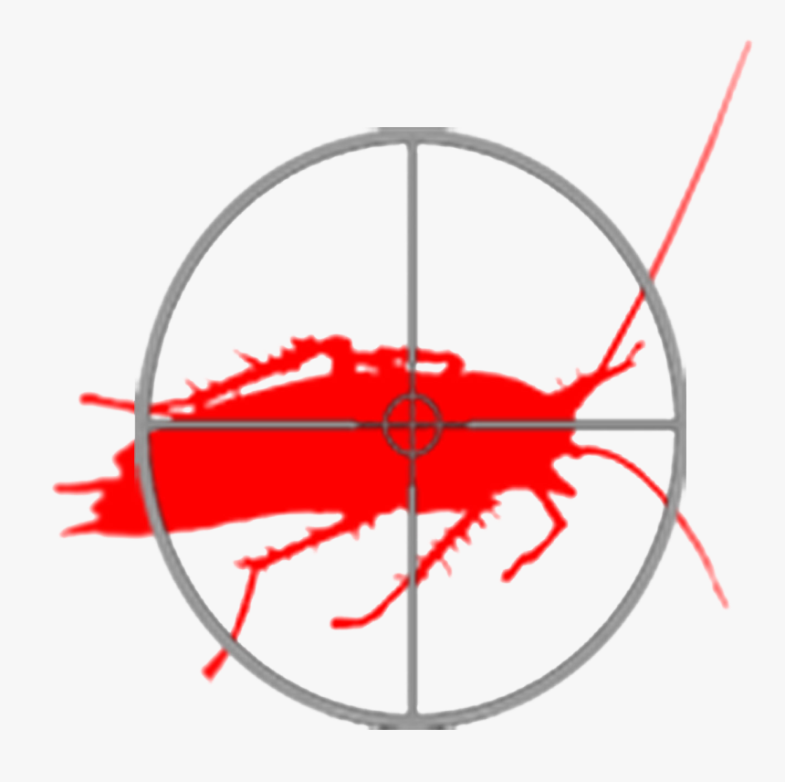 Circle, HD Png Download