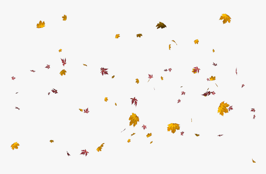Leaf, HD Png Download