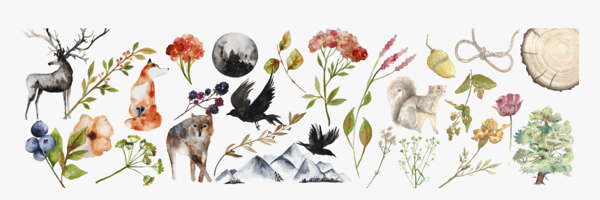 Storybook Girl Design Shop Banner , Png Download - Burnet Rose, Transparent Png