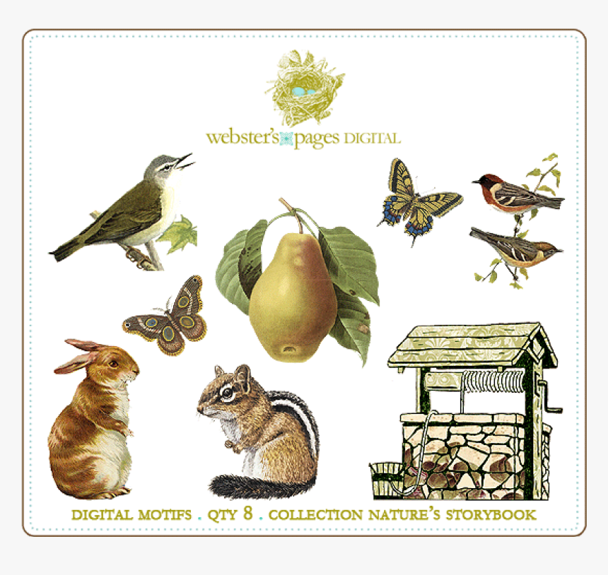 Nature S Storybook Digi Motifs - Silver Spotted Skipper, HD Png Download