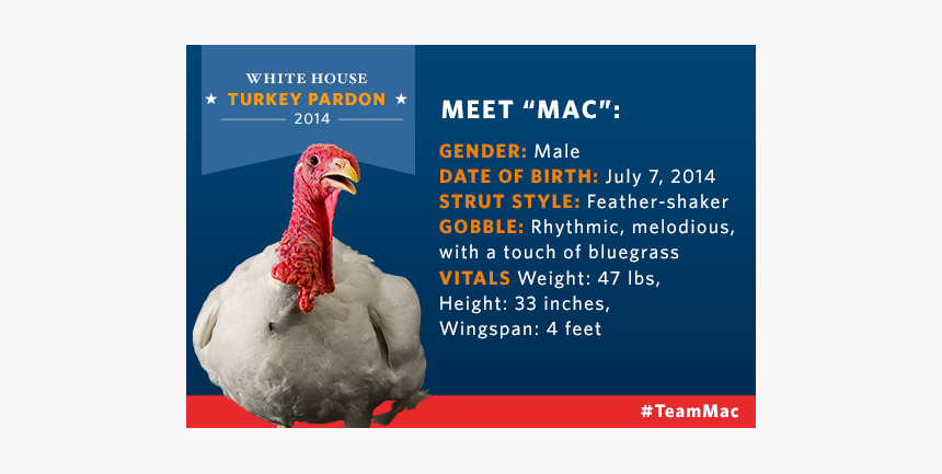 Turkey, HD Png Download