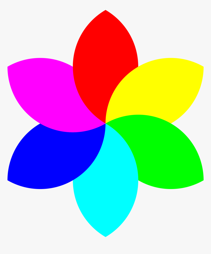 Simple Clip Art 6 Medium Size - Flower Color Wheel Drawing, HD Png Download
