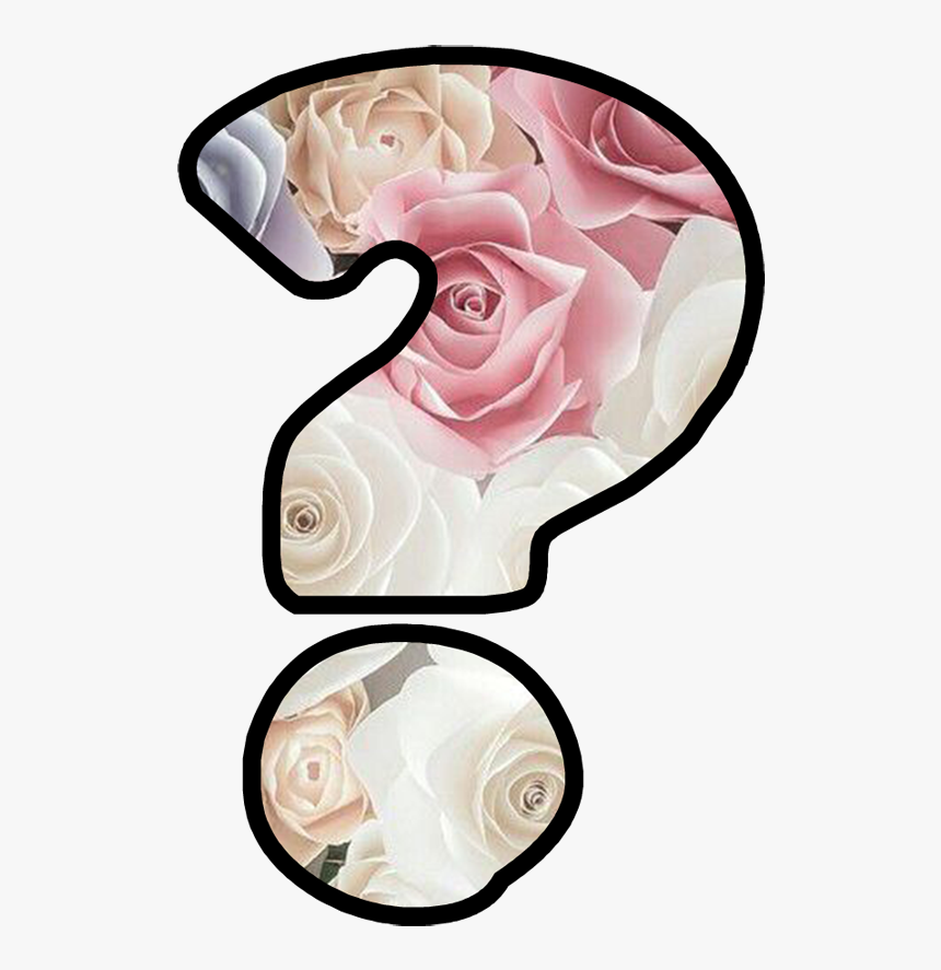 Latest Wallpaper 2019, HD Png Download