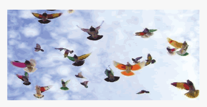 Butterfly, HD Png Download