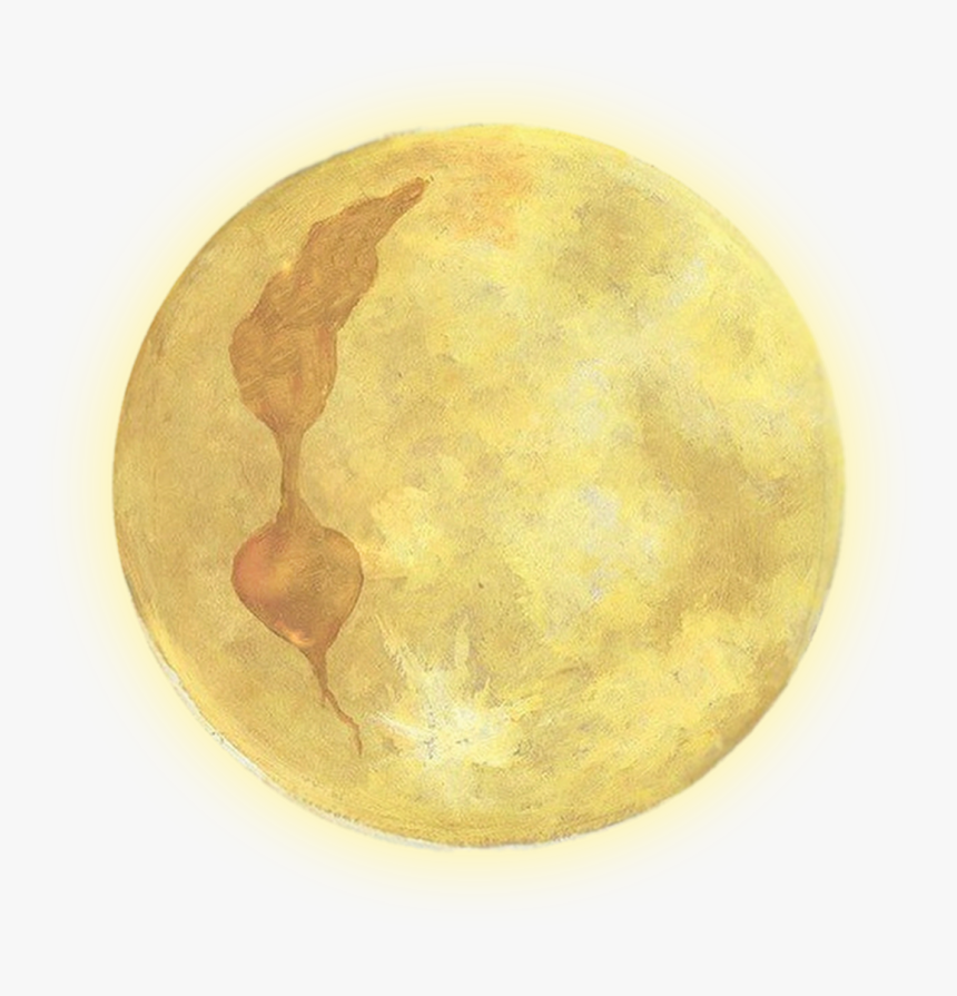 Circle, HD Png Download