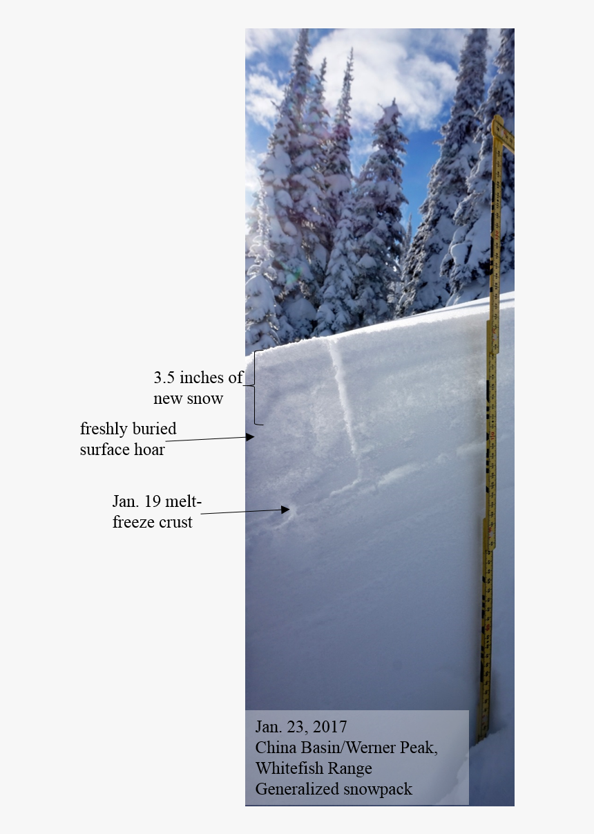 Snow, HD Png Download