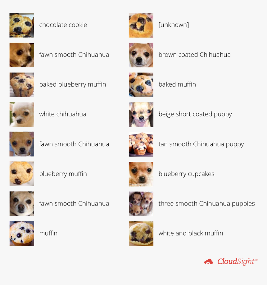 Teach A Computer The Difference Between A Muffin And, HD Png Download