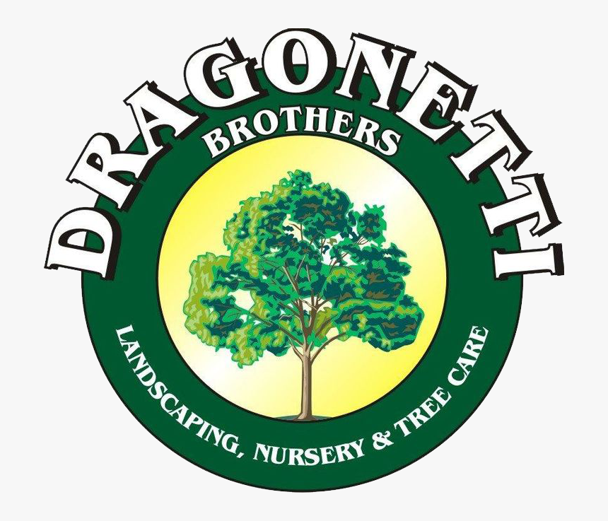 Dragonetti Brothers Landscaping, HD Png Download