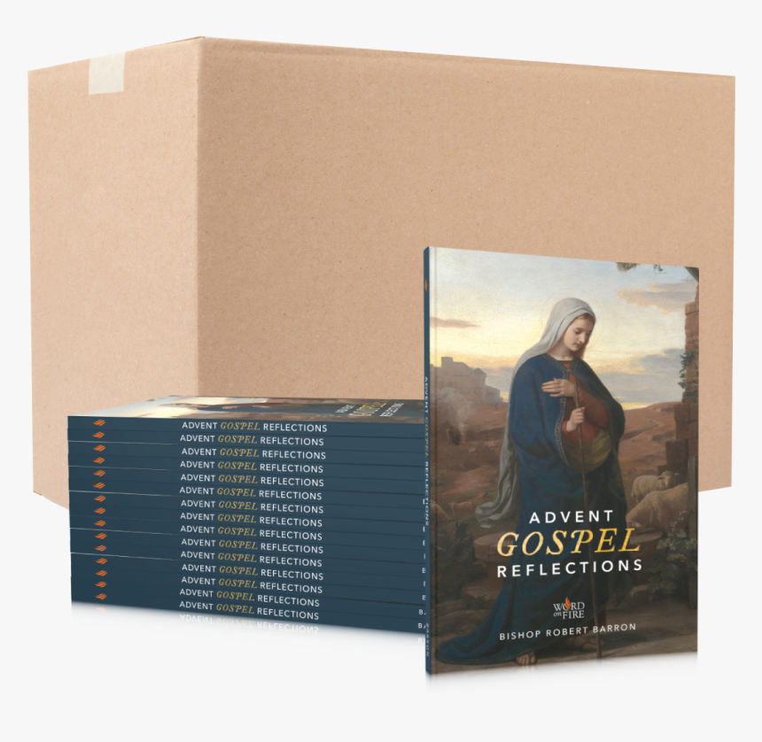 Advent Gospel Reflections Bishop Barron, HD Png Download