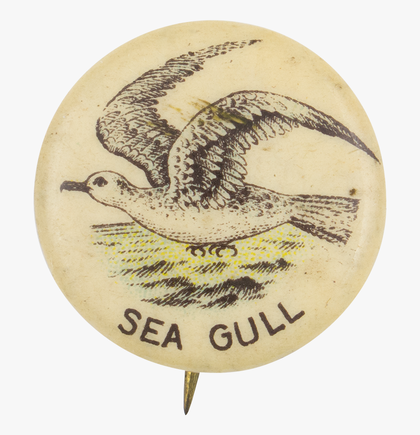 Sea Gull Advertising Button Museum - Golden Eagle, HD Png Download