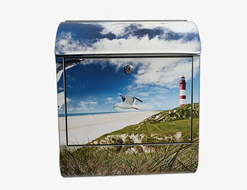 Transparent Sea Gull Png - Briefkasten Mit Motiv, Png Download