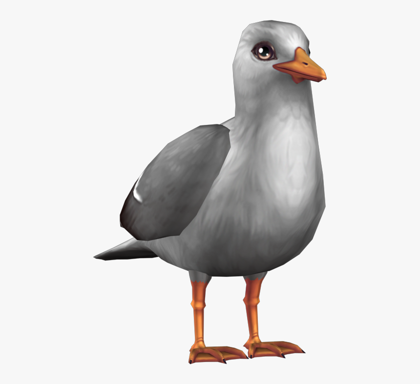 Star Stable , Png Download - Laughing Gull, Transparent Png