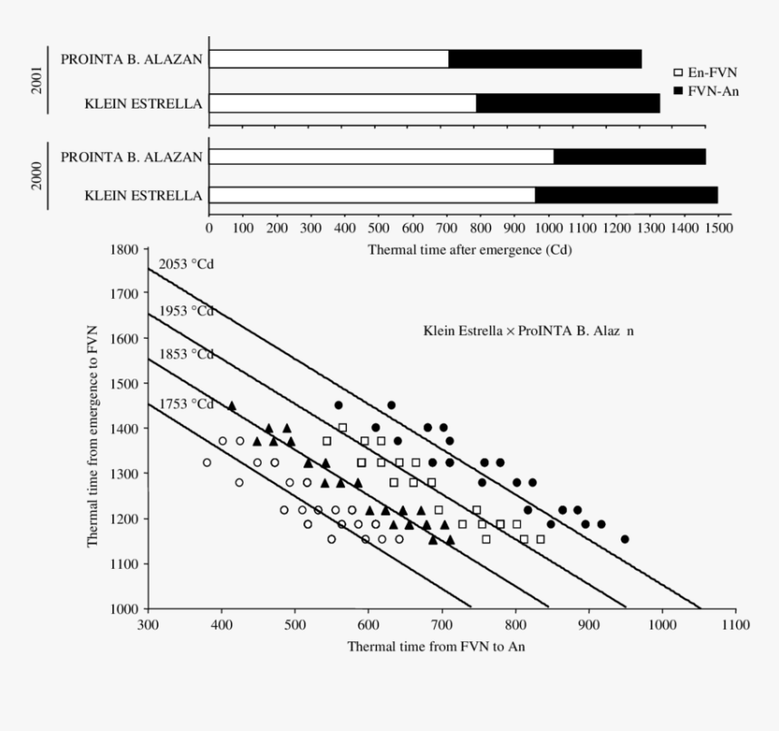 Diagram, HD Png Download