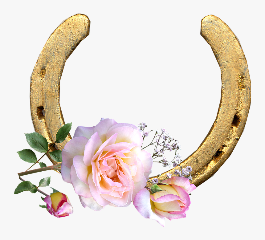 Transparent Herraduras Png - Single Flower With Stem, Png Download