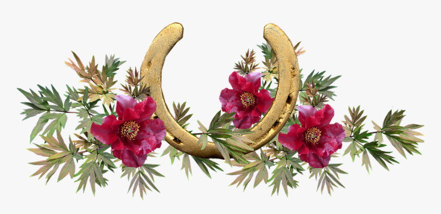 Horse Shoe, Lucky, Peony, Flowers - Clip Art Melbourne Cup, HD Png Download