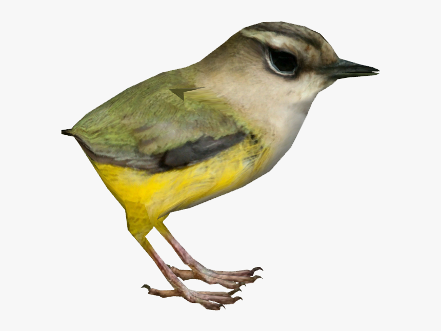 Nightingale Clipart , Png Download - Nightingale, Transparent Png