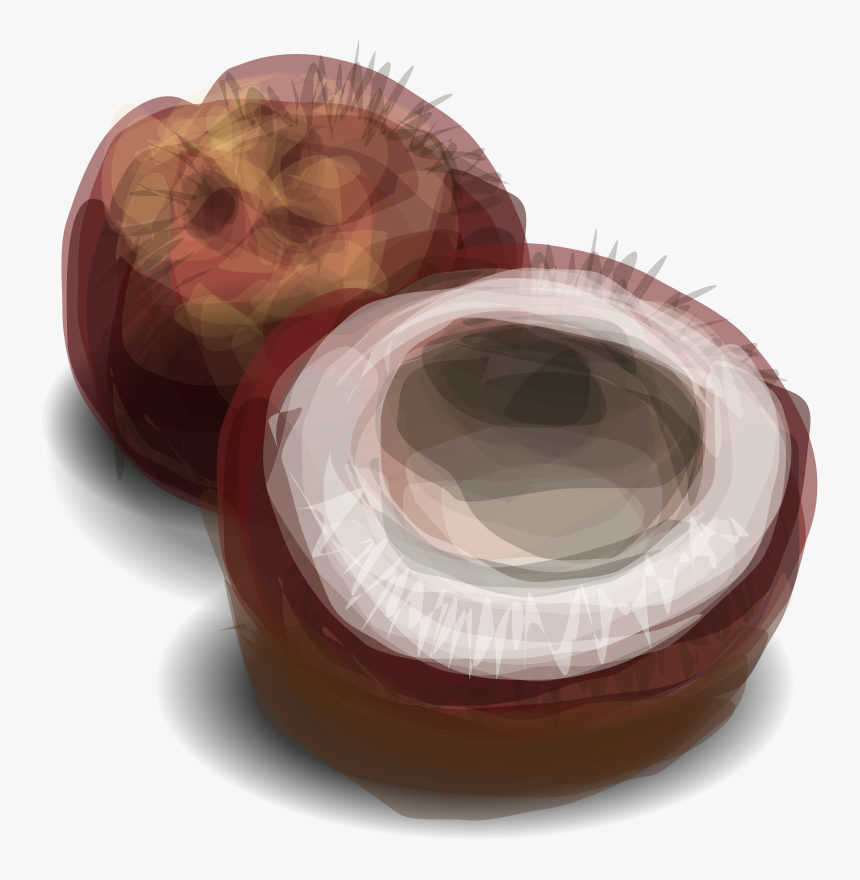 Hrum-coconut, HD Png Download