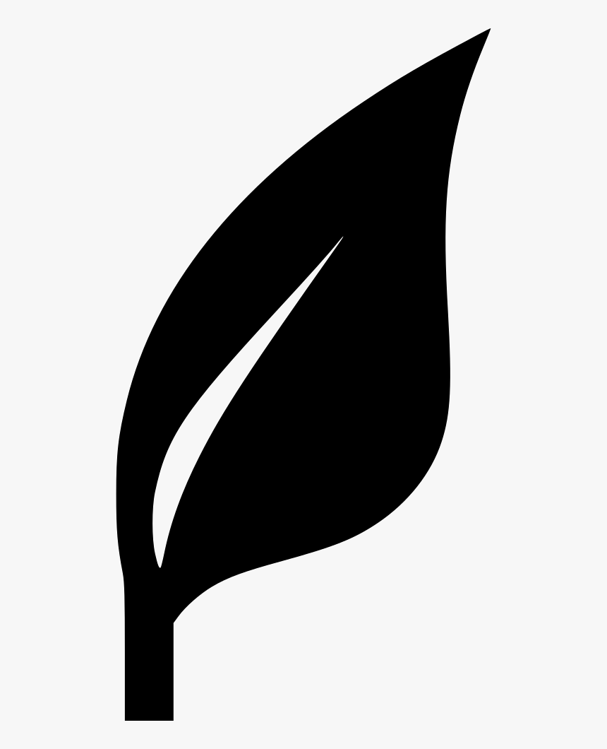 Ecology, HD Png Download