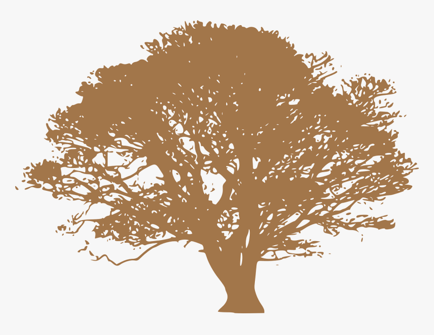 Green Tree Silhouette Png, Transparent Png