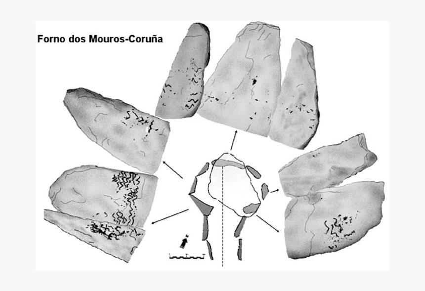 Sketch, HD Png Download