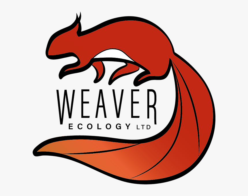 Transparent Ecology Png, Png Download