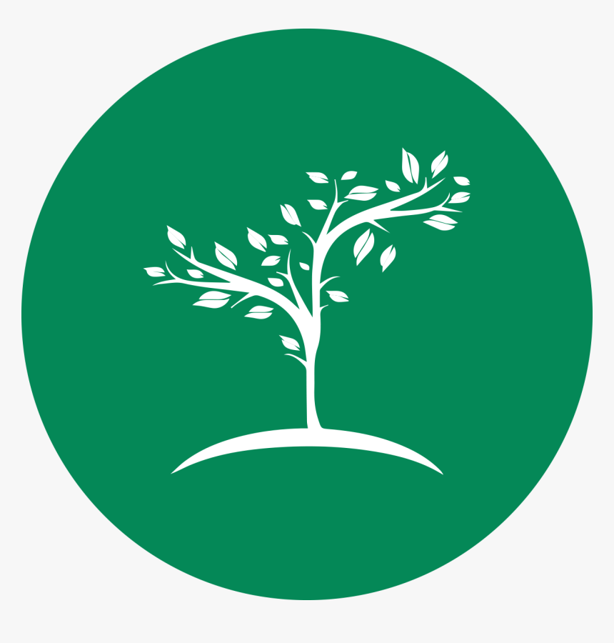 Ecological Foundations - True Blue Tree Service, HD Png Download