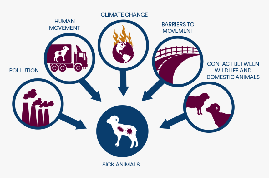 Transparent Ecology Png - Graphic Design, Png Download