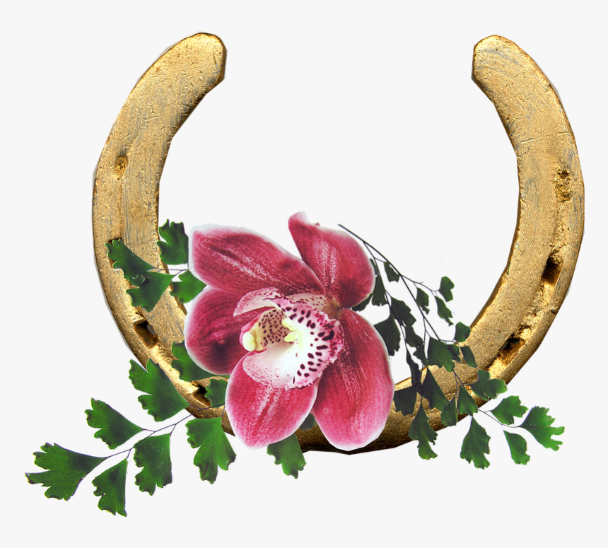 Lucky Flower Of Horse, HD Png Download