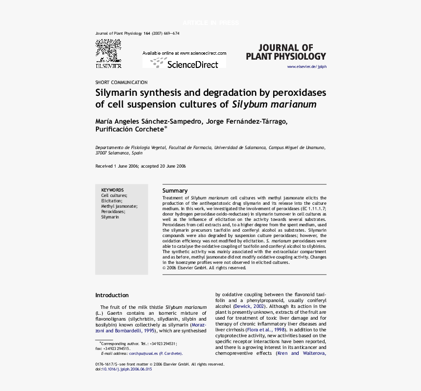 Document, HD Png Download