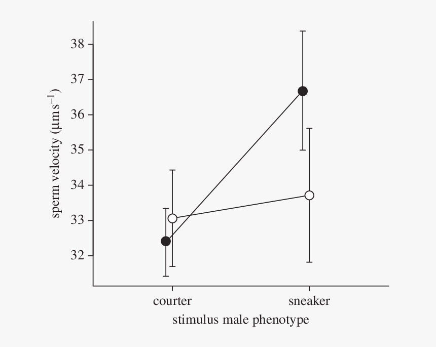 Diagram, HD Png Download