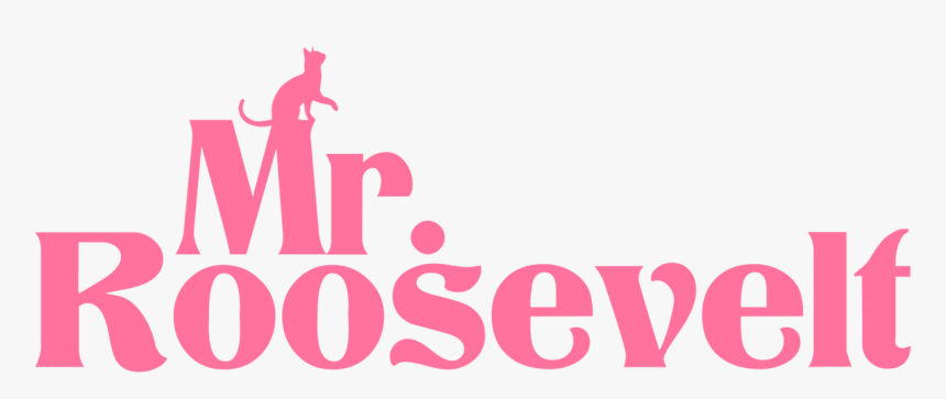 Mr - Roosevelt - Graphic Design, HD Png Download