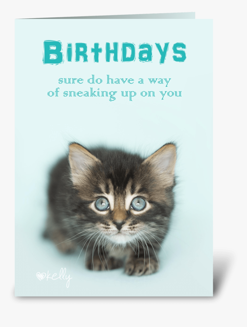 Birthday Sneaking Up On You Kitten Greeting Card - Kitten, HD Png Download