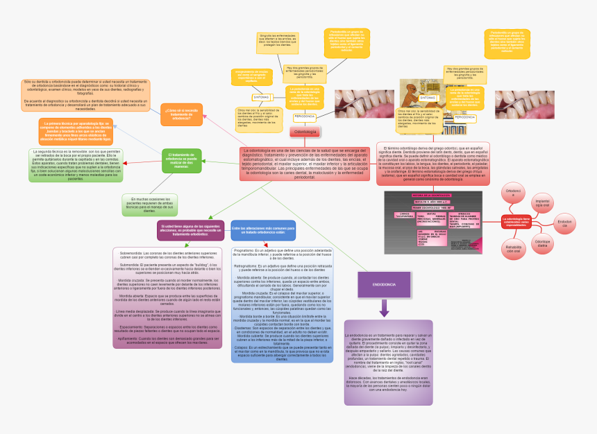 Brochure, HD Png Download