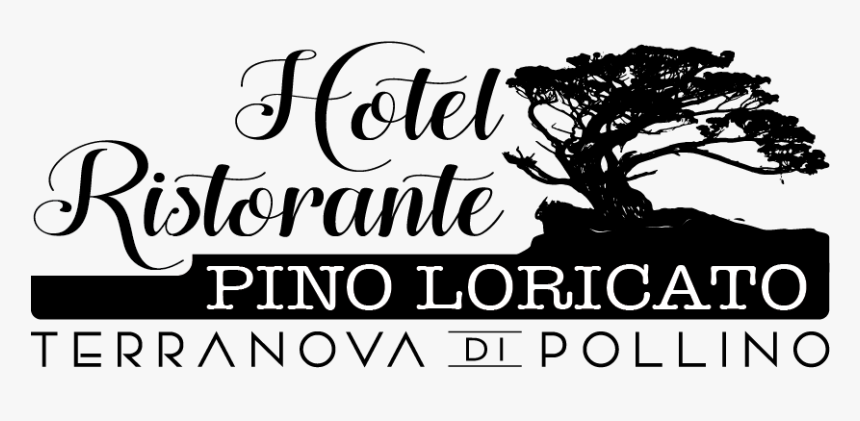 Hotel Pino Loricato - Tree, HD Png Download