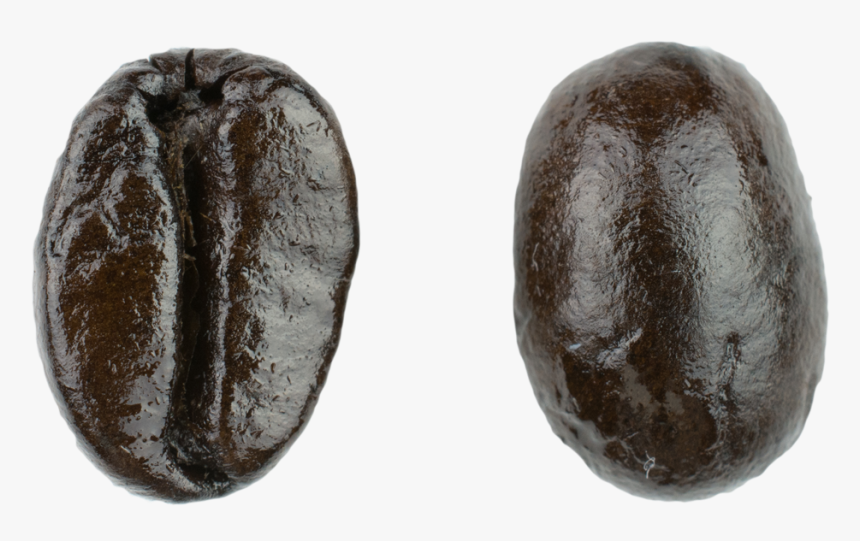 French Roast Macro - Date Palm, HD Png Download