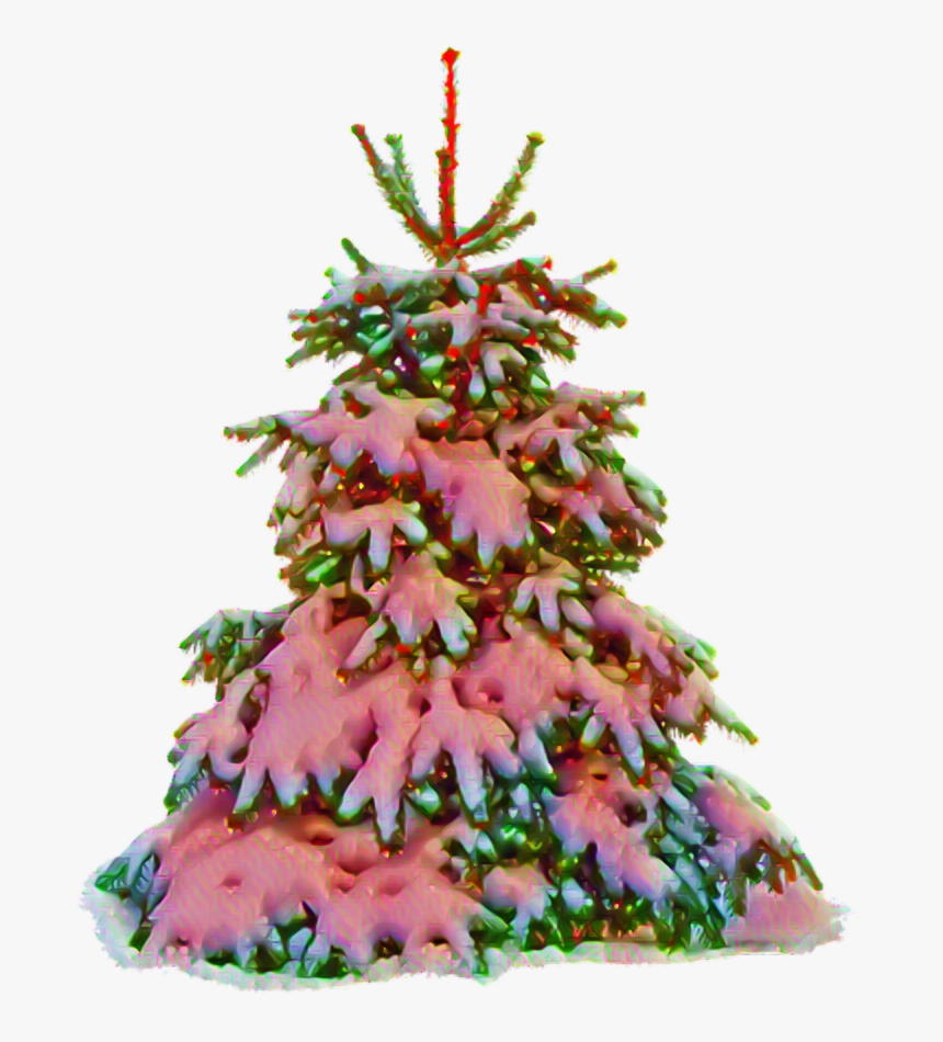#navidad #merrychristmas #xmas #pino #tree, HD Png Download
