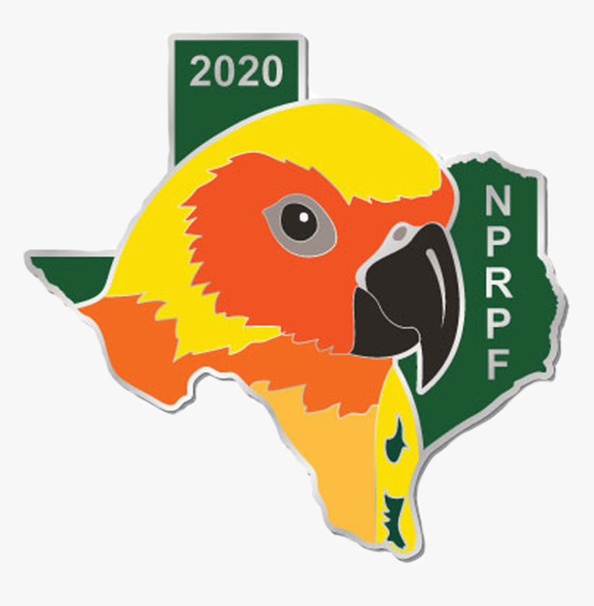 Macaw, HD Png Download