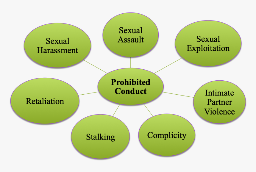 Circle, HD Png Download