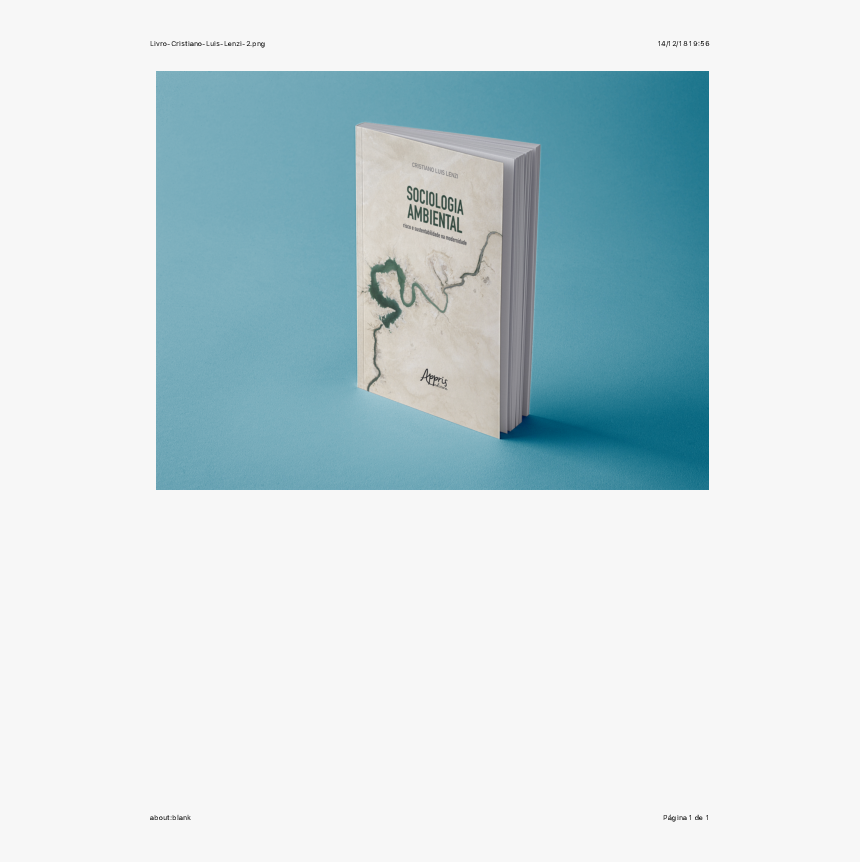 Transparent Livro Png - Paper Bag, Png Download