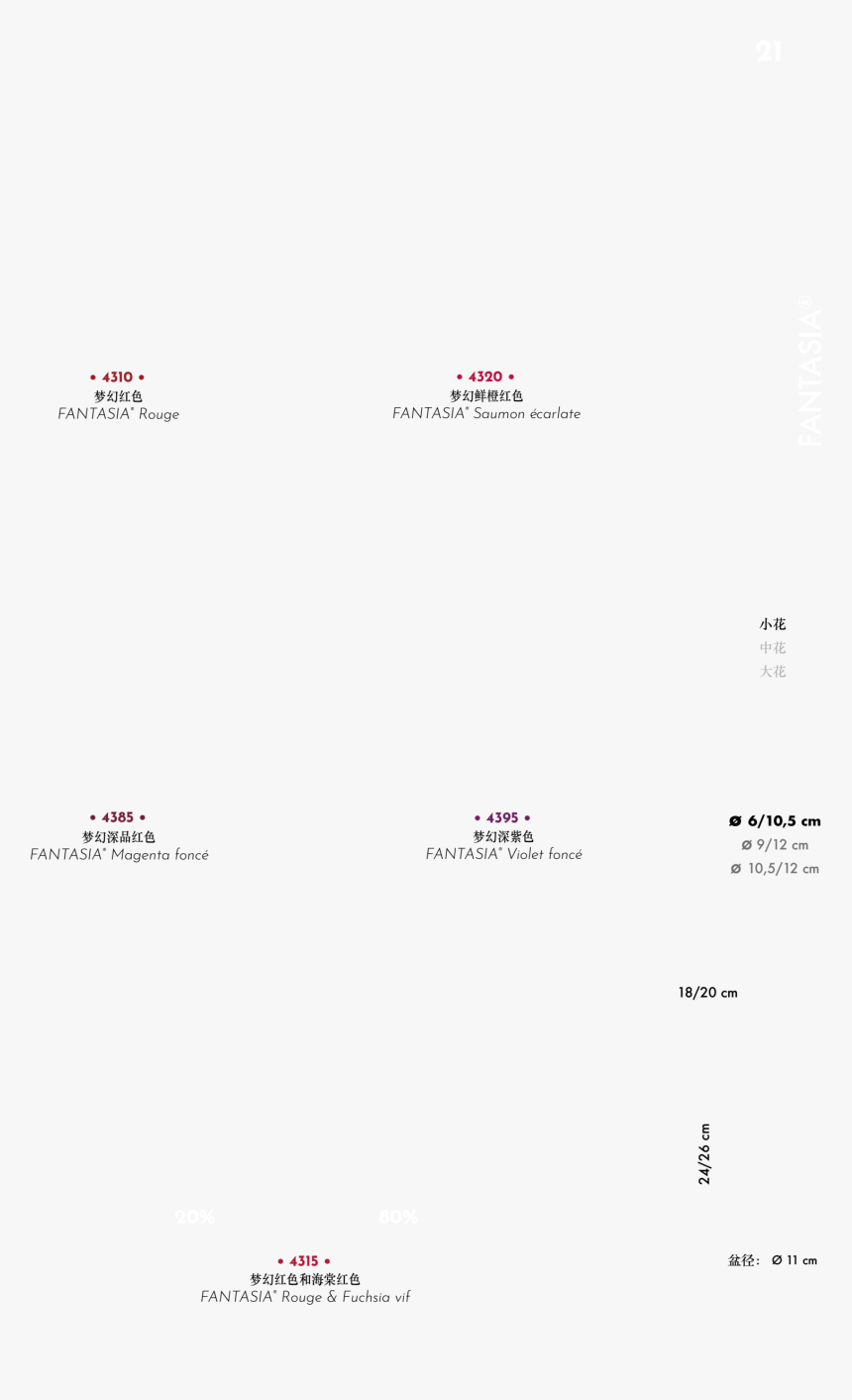 Colorfulness, HD Png Download